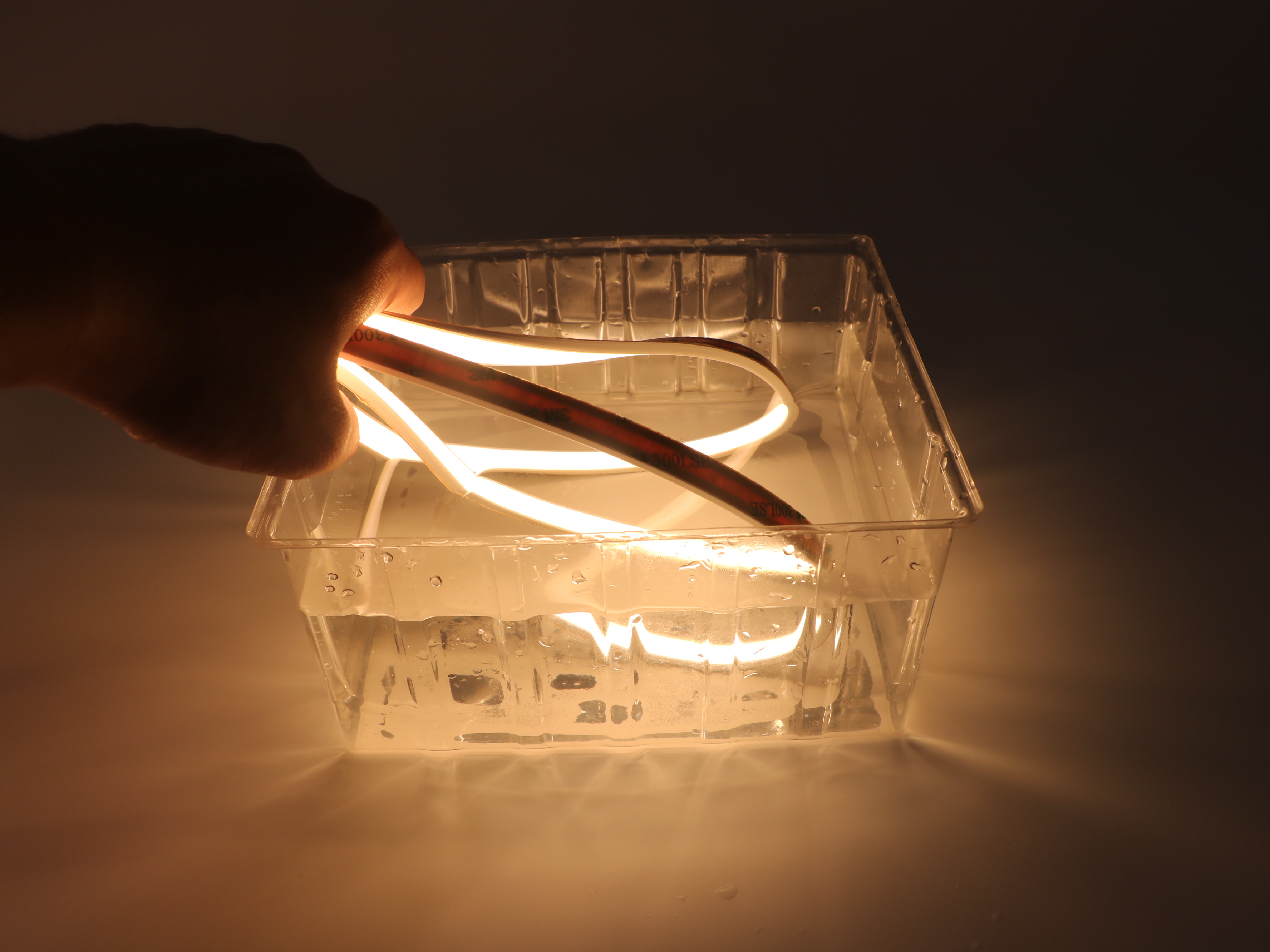 dual color extrusion