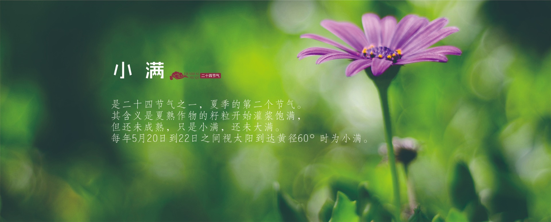皆是广告网页二十四节气图_20250513_17470956321089960