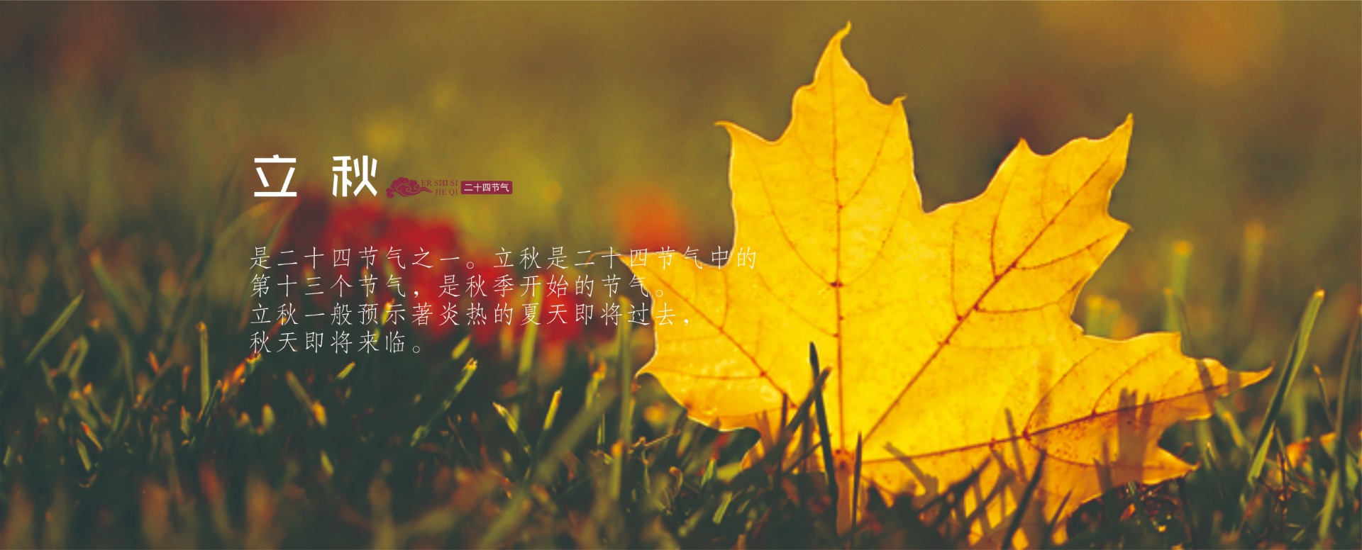 皆是广告网页二十四节气图_20250806_17544385252991060