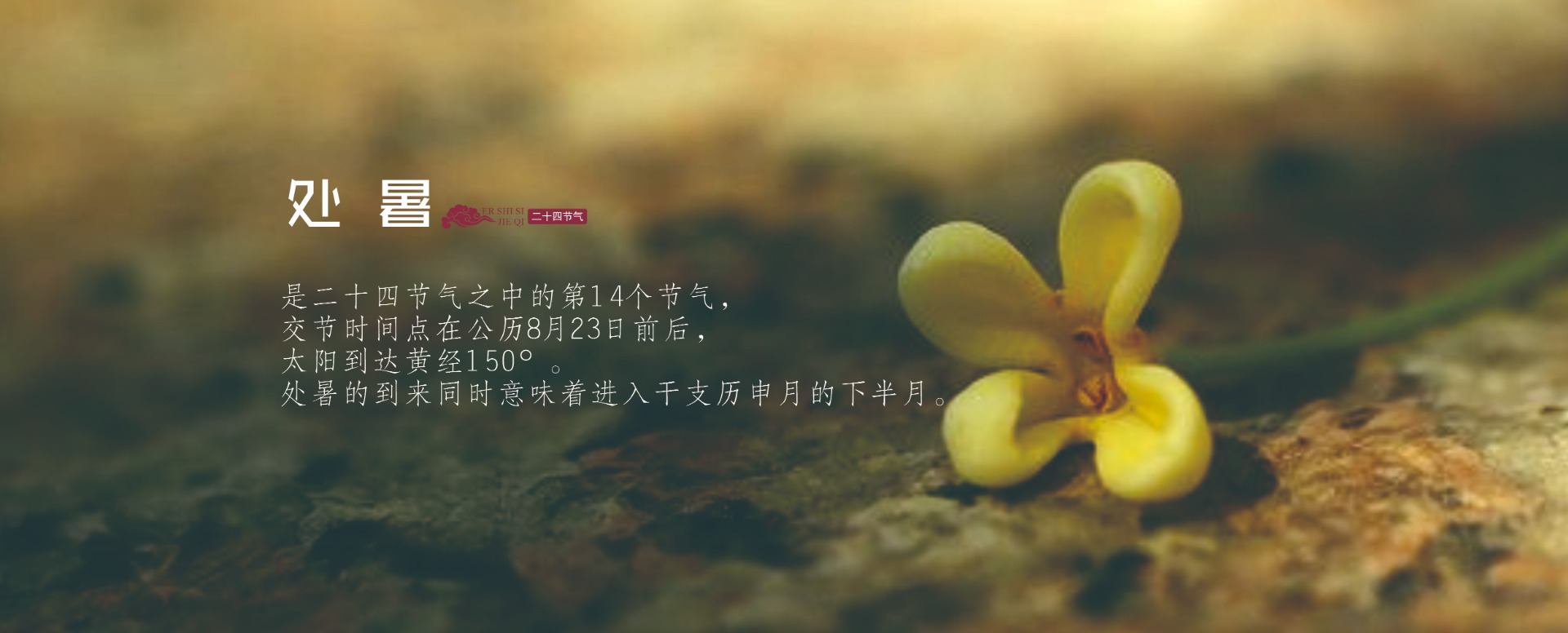 皆是广告网页二十四节气图_20250818_17554751977176160