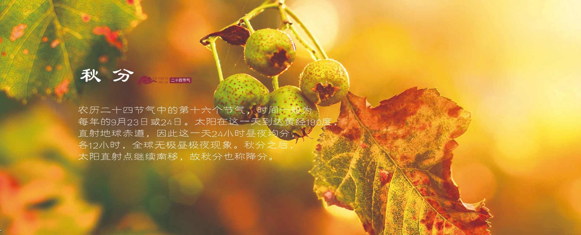 二十四节气_20250926_17588568314634060