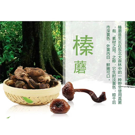 榛蘑