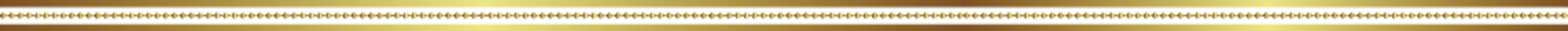 描述