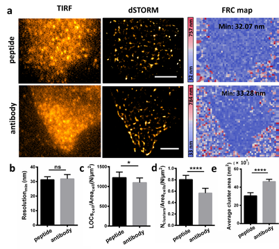 Biomolecular imaging