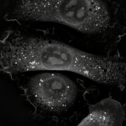 Label free super-resolution imaging
