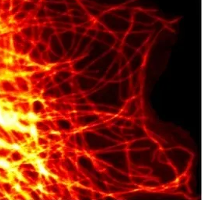 Multimodal correlation imaging