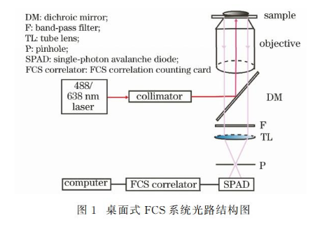 超分辨荧光成像-FCS