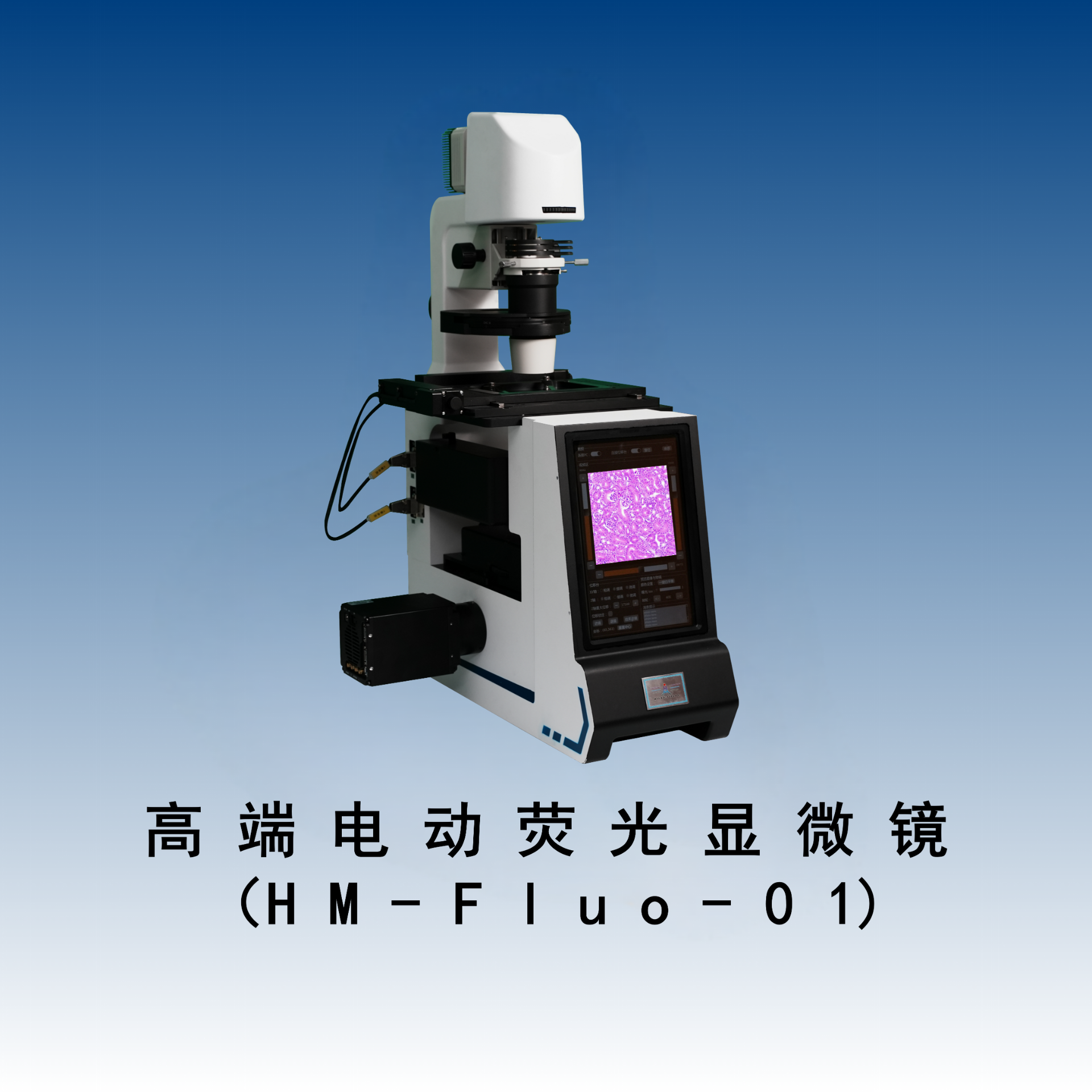 高端电动荧光显微镜（HM-Fluo-01）具有宽场活细胞超分辨成像功能