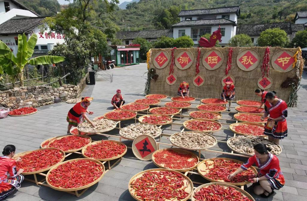 鲜红的辣椒、橙黄的南瓜、金灿灿的玉米……在“半条被子”故事发生地——湖南省郴州市汝城县沙洲瑶族村，村民用“晒秋”绘出一幅色彩缤纷的秋收画卷，诉说丰收的喜悦。
一栋古民居里，二十多名妇女聚成几个圈，围着传授糕点、湘菜、瑶绣制作方法的师傅。有的大声请教技艺细节；有的拿起新鲜出锅的糕点，边品尝边琢磨如何改进手艺；有的举着手机录制师傅的讲授过程……