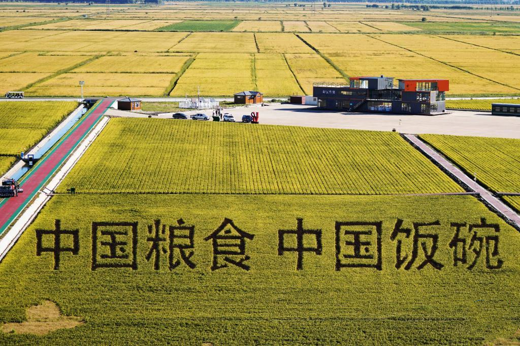 这是黑龙江省富锦市万亩水稻科技示范园里的稻田画。
　　在北大荒集团建三江分公司七星农场有限公司的一块稻田里，一幅“喜迎二十大 引领新征程”的稻田画，吸引不少游客驻足观看。登上观景台，遍野金黄，一派丰收景象。
　　食为政首，粮稳天安。黑龙江连续12年粮食产量居全国第一，去年粮食产量1573.5亿斤，占全国九分之一强。当好维护国家粮食安全的“压舱石”，是党中央赋予黑龙江的重大任务。