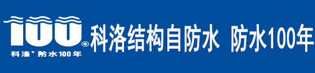 描述