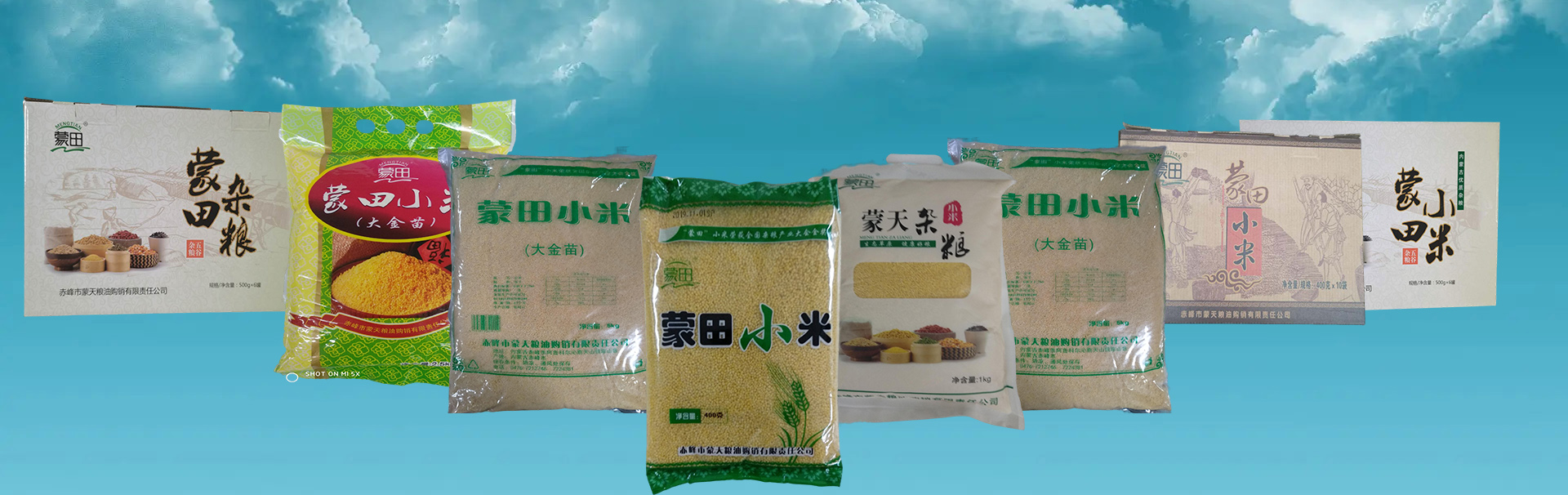 描述