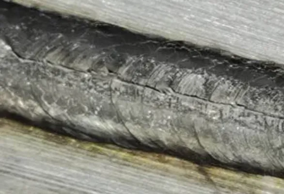 721c561b-8e92-4209-96d4-3d9edcba796e