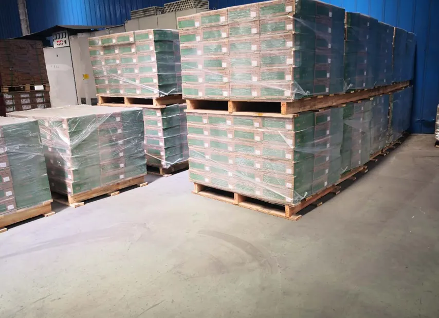 ef907844-4f24-4ce4-ac4b-48ba01e5a0a9