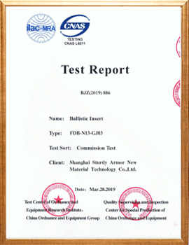 Test Report