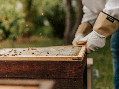 Sawdust processing gloves