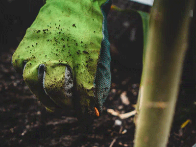 Gardening gloves