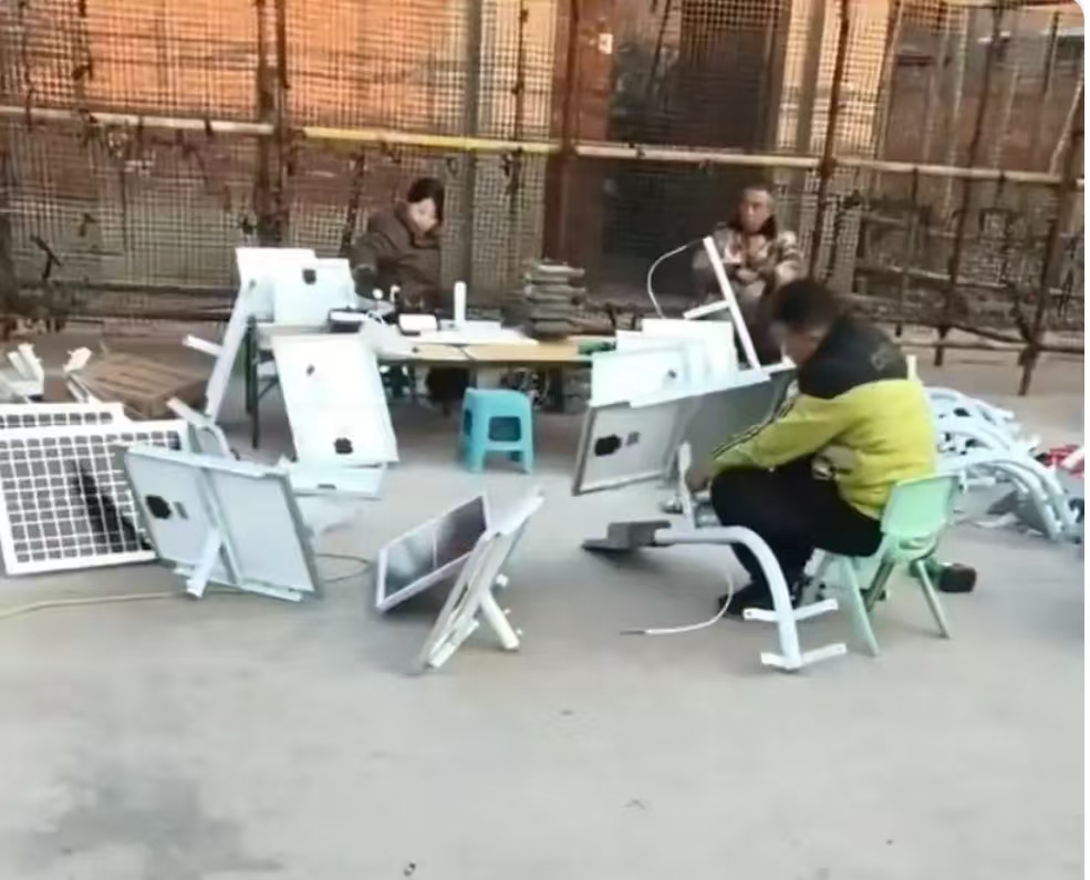 张4_20250121_17374485843254560