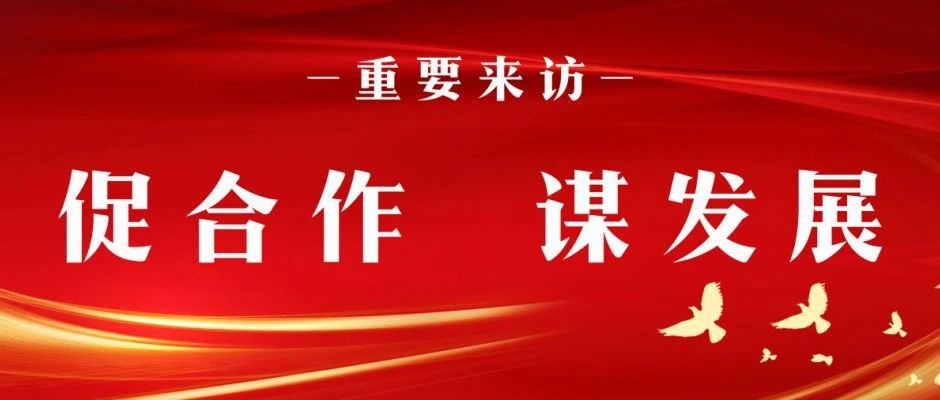 浙江浙银金融租赁股份有限公司总裁陈学群率队到广西锦航海运集团座谈交流