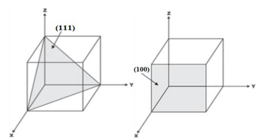 2_20230615_16867957426258660