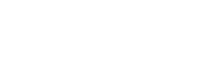 描述