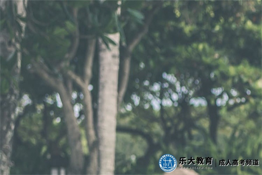 蚌埠成人高考报名时间、报名入口、考试科目、录取分数线、录取政策