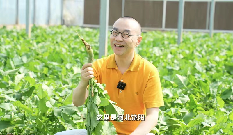 你向往的生活或许就在饶阳
