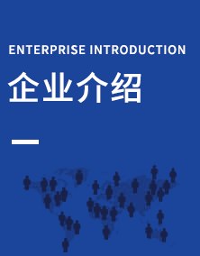 描述