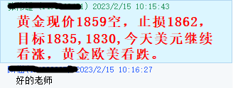 黄金2.15指导