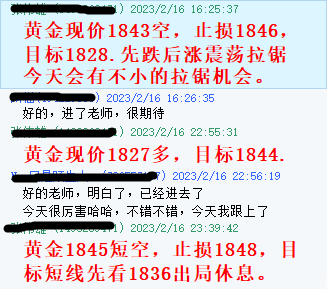 黄金2.16指导
