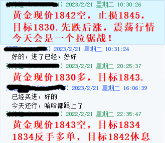 黄金2.21指导