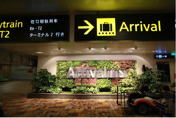 抵达新加坡入境攻略3