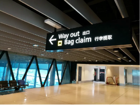 抵达新加坡入境攻略4