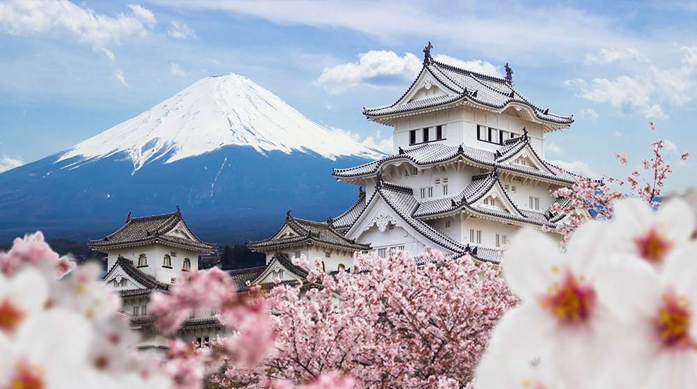 日本国别指南