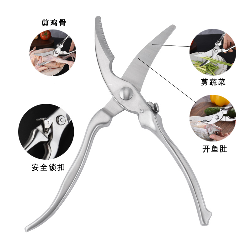 Full stainless steel poultry shears Heavy Duty shears C10-01