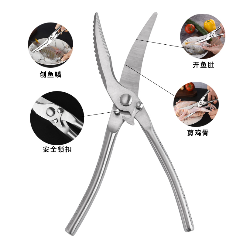 Full stainless steel Heavy Duty poultry shears C10-02