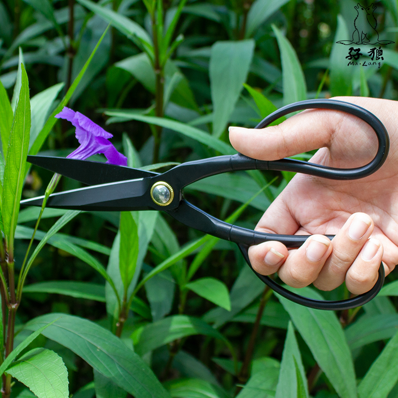 Bonsai Scissors - Traditional Butterfly Bonsai Pruner Shear for Precise Trimming Pruning and Deadheading of Flowers Plants, Japanese Bonsai Garden Tools