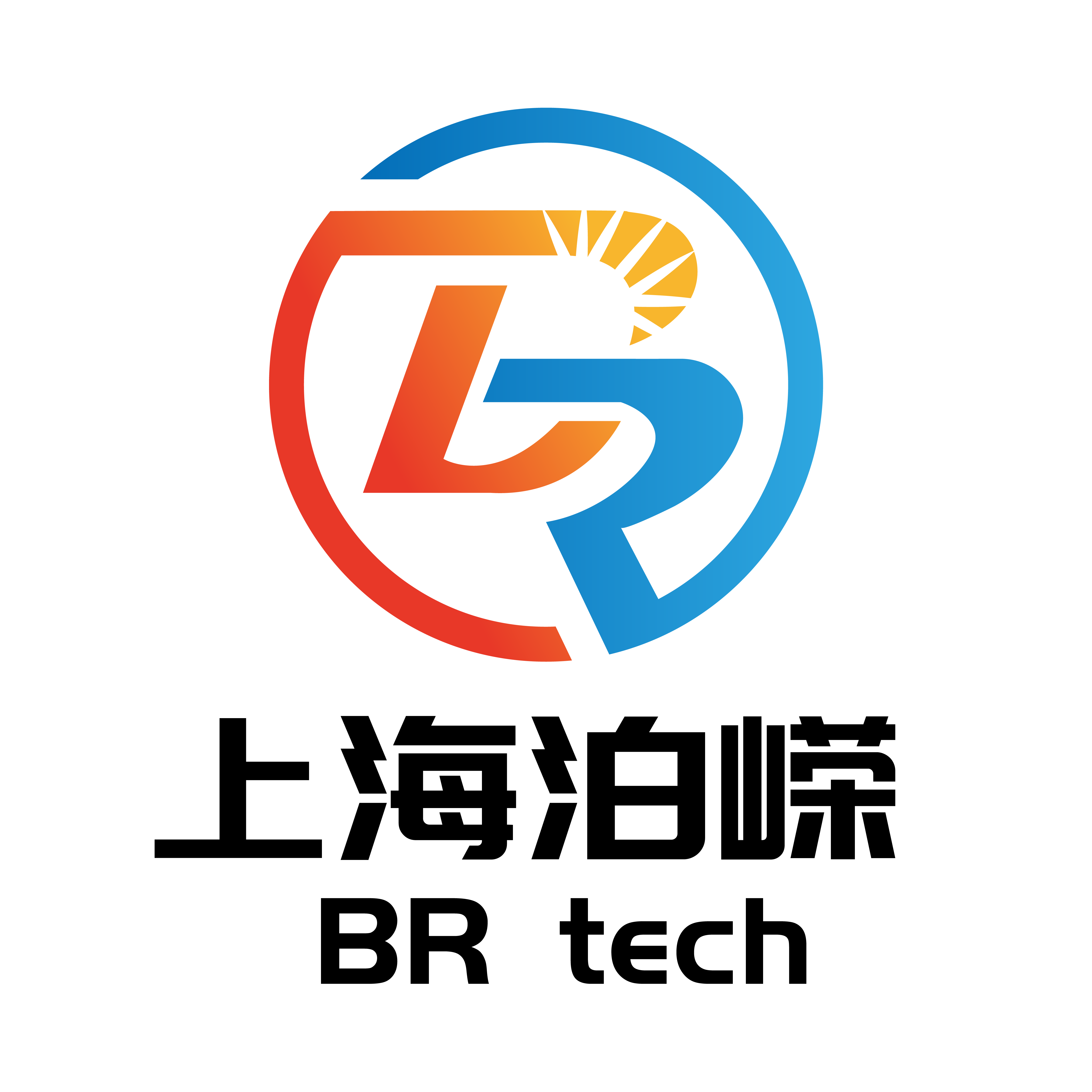 BR LOGO1