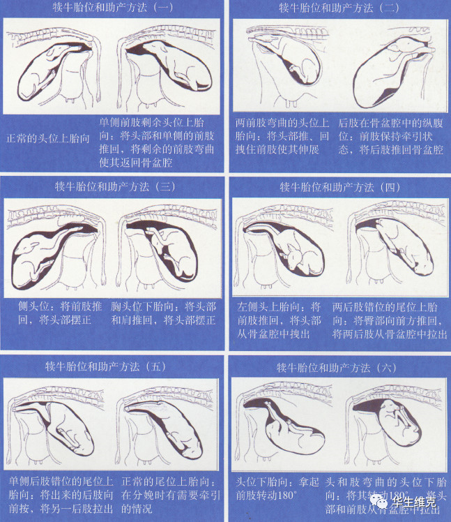 微信图片_20230309172725