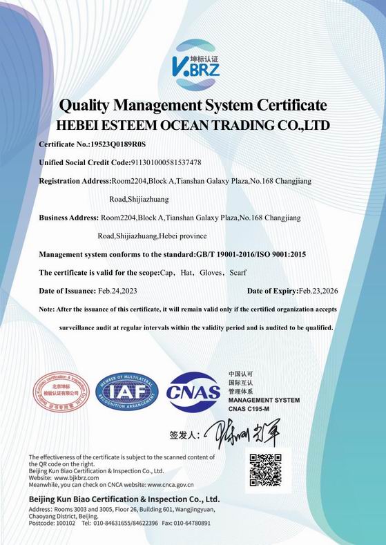 ISO9001 ESTEEMCOEAN EN
