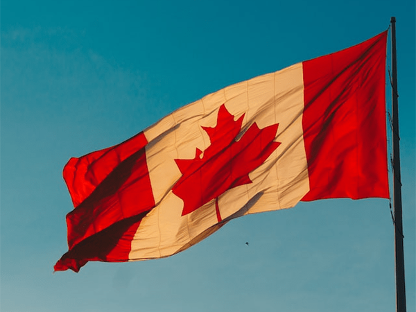 Canadian immigration companies, with offices in Vancouver, Winnipeg, Toronto and Calgary, have access to the latest immigration policies and advice in Canadian provinces