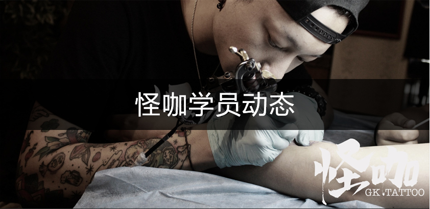 新闻动