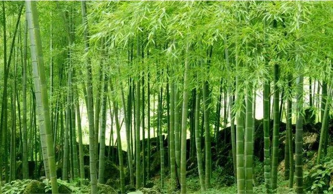 让每一滴水都成为流动的品牌名片
