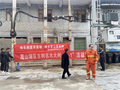 观山湖区开展“保护古树名木”宣传活动