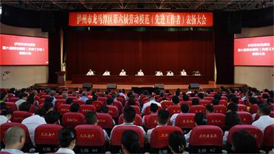 龙马潭区召开第六届劳动模范（先进工作者）表扬大会