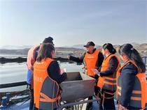 永靖县：税惠助力三文鱼养殖产业绿色高质量发展