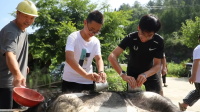 丹寨：夏日乡村研学乐趣多 深度游玩解锁新体验