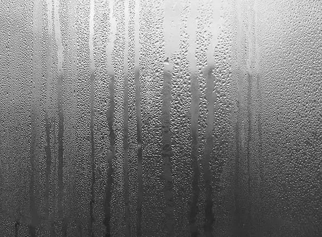 16801653106132a924a0547defcf8