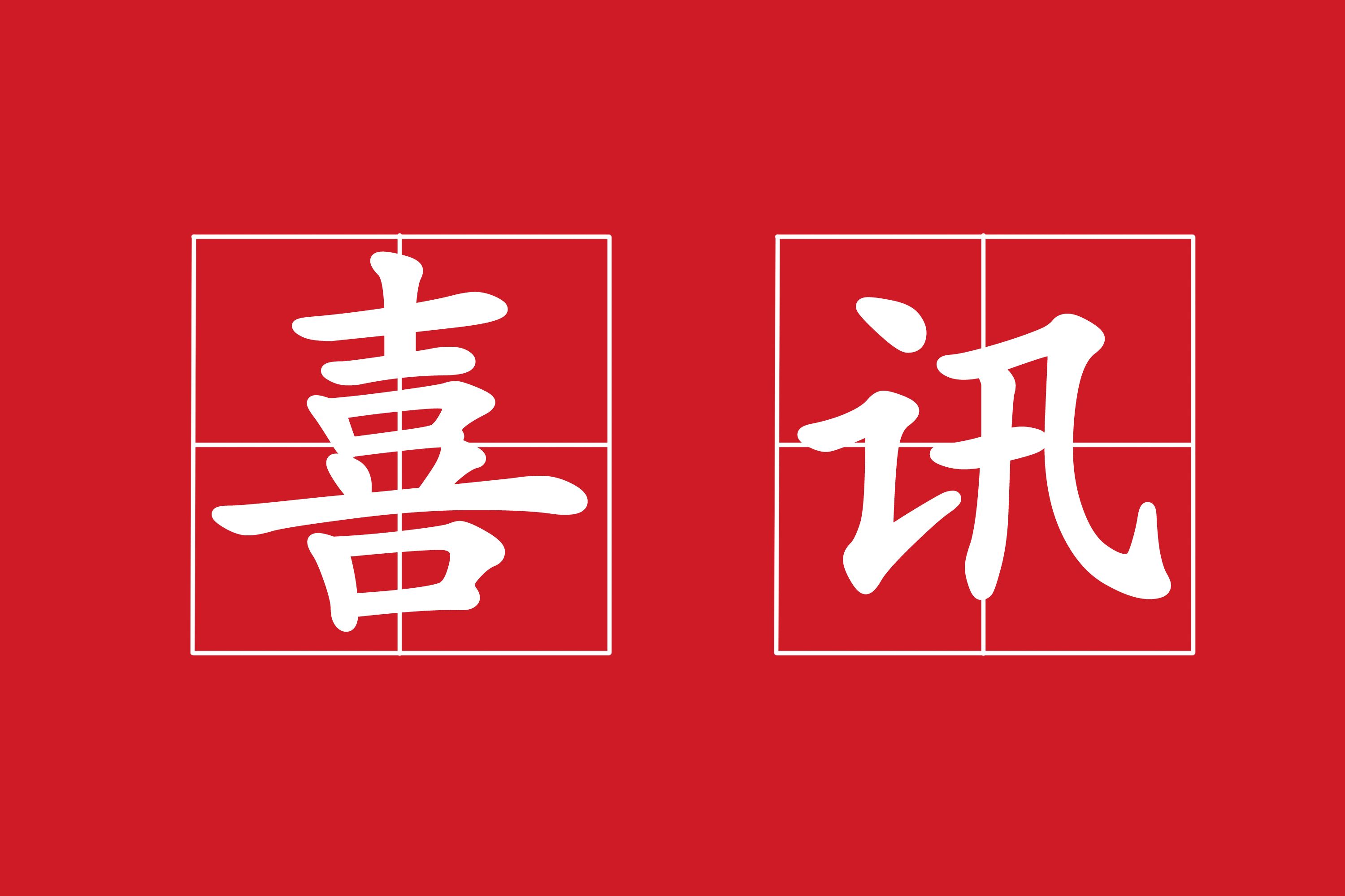 我公司员工顺利通过注册咨询工程师考试