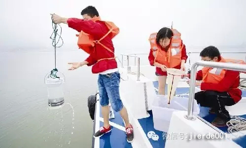 水质分析仪